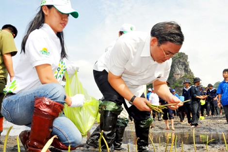 Vietnam responds to the World Environment Day - ảnh 3
